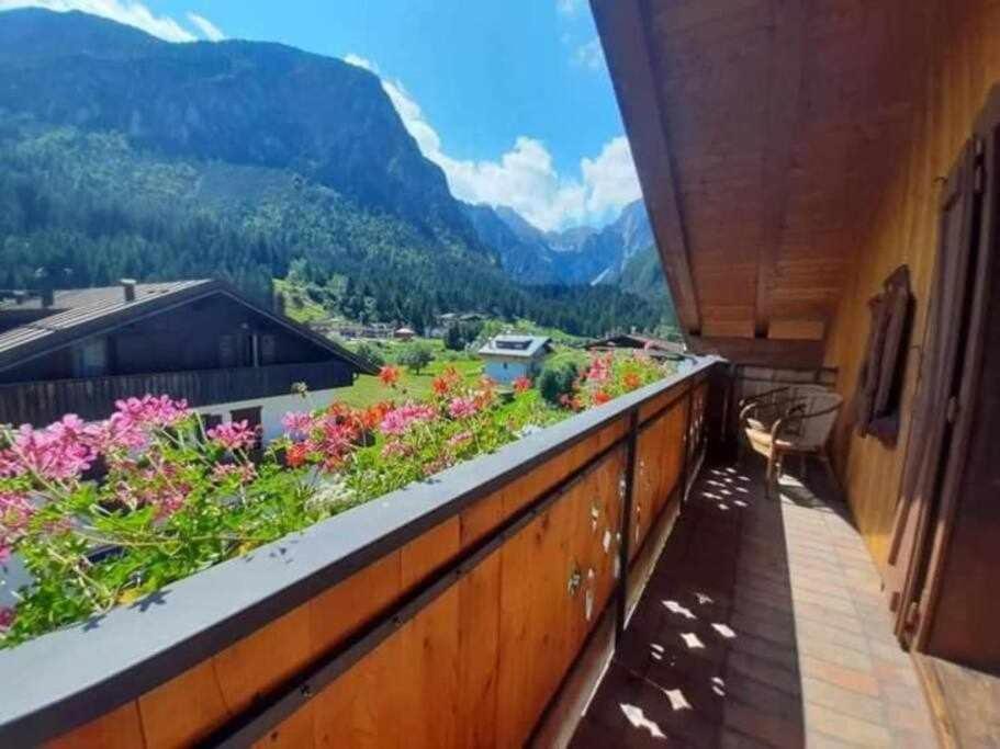 La Mansarda In The Dolomites Jacuzzi Leilighet Santo Stefano Di Cadore Eksteriør bilde